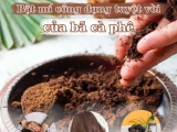 Bật Mí Công Dụng Tuyệt Vời Của bã Cà Phê Có Thể Bạn Chưa Biết