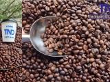 Công ty Cà Phê TND – Hành trình từ hạt cà phê chất lượng đến ly cà phê thơm ngon, đậm vị