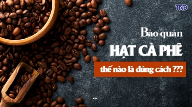 Cách Bảo Quản Cà Phê  Hạt Để Giữ Hương Vị Lâu Nhất - Hướng Dẫn Chi Tiết Cho Chủ Quán