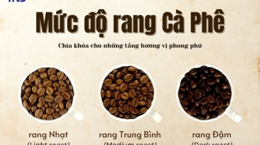 CÁC MỨC ĐỘ RANG CÀ PHÊ - HIỂU ĐÚNG ĐỂ THƯỞN THỨC TRỌN VẸN HƯƠNG VỊ
