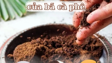 Bật Mí Công Dụng Tuyệt Vời Của bã Cà Phê Có Thể Bạn Chưa Biết