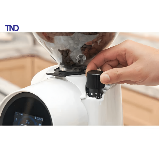 Máy Xay Cà Phê Eureka Firenze 75