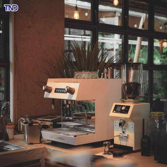 Máy xay cà phê tự động Jay’s